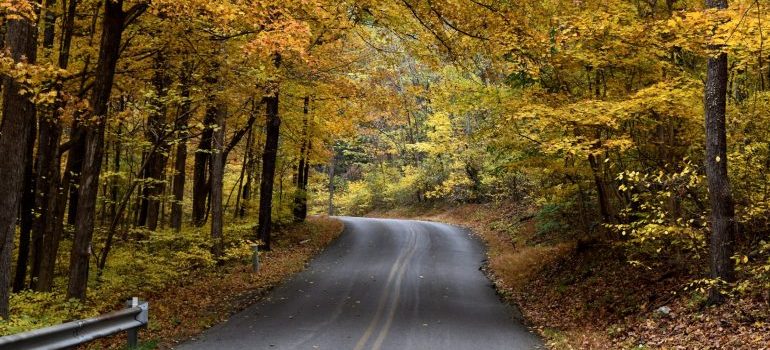A road in a national park in MD